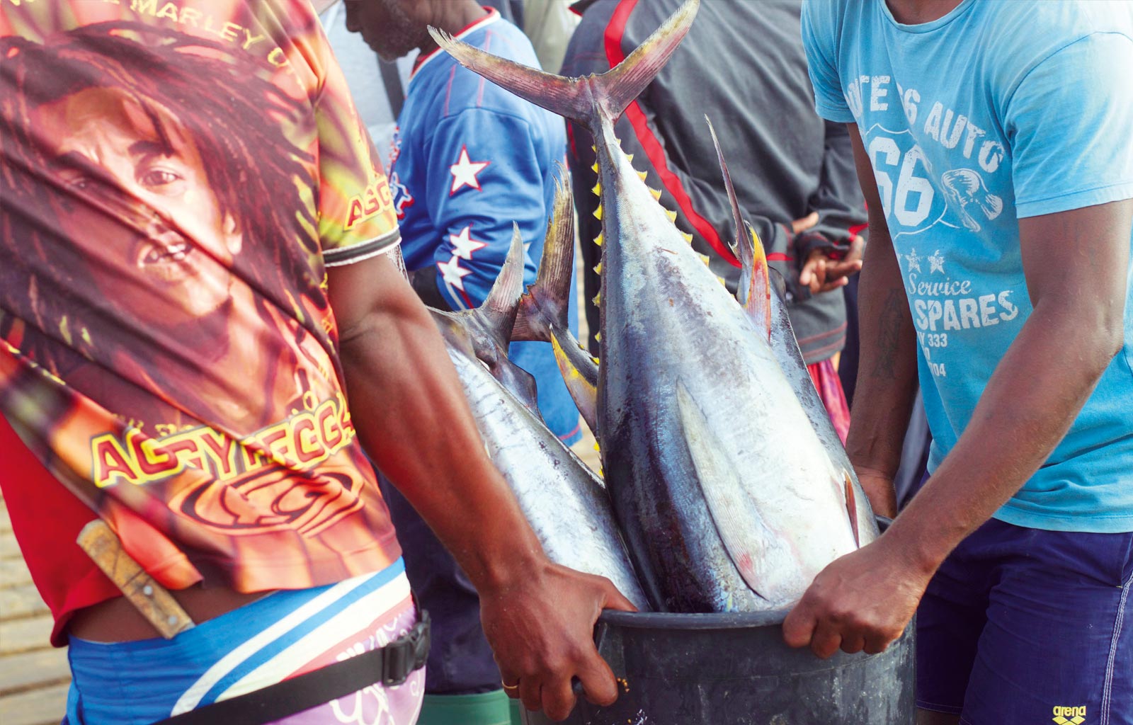 Fresh Fish at Zero Kilometer | Good Food Lab | Santa Maria, Ilha do Sal, Cape Verde